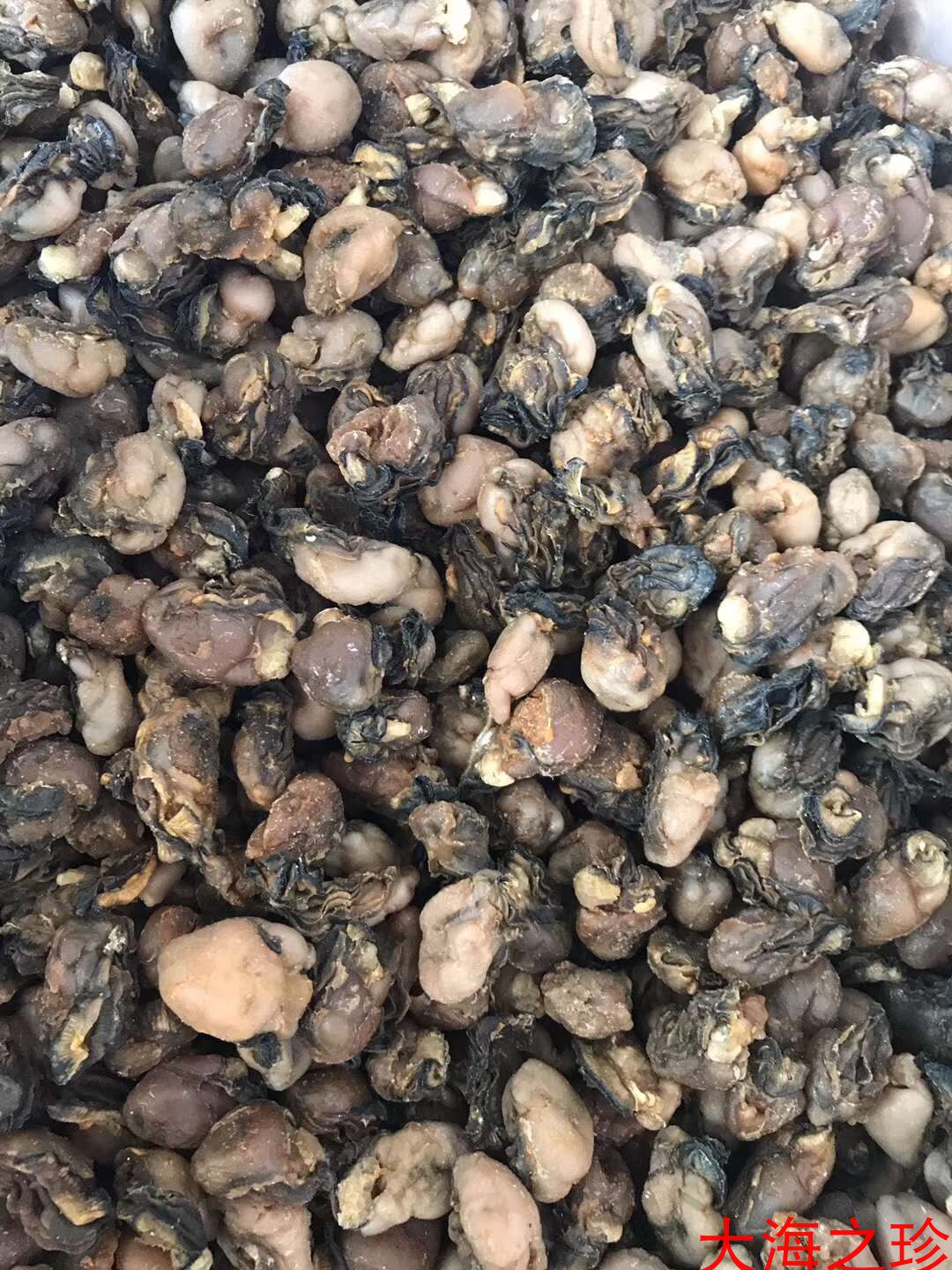 南澳特产生蚝干海蛎干牡蛎干耗豉蠔蛎煲汤250g饱满无沙250克包邮