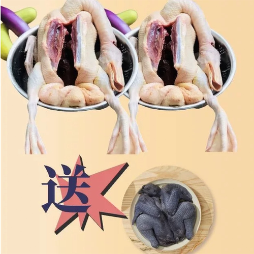 港点湾林间散养麻鸭买二送一