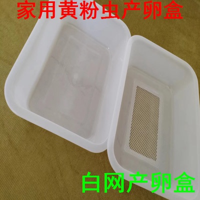 简易家用黄粉虫产卵盒过滤粪便盒大麦虫面包虫饲养盒黄粉虫饲养盆