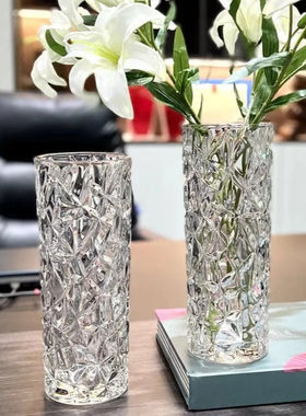 轻奢高级感透明玻璃花瓶大插花水养富贵竹专用客厅装饰摆件鲜花