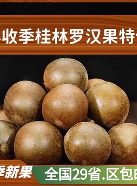 【特价】罗汉果正宗桂林特产新鲜大果罗汉果干果茶散装罗汉果茶