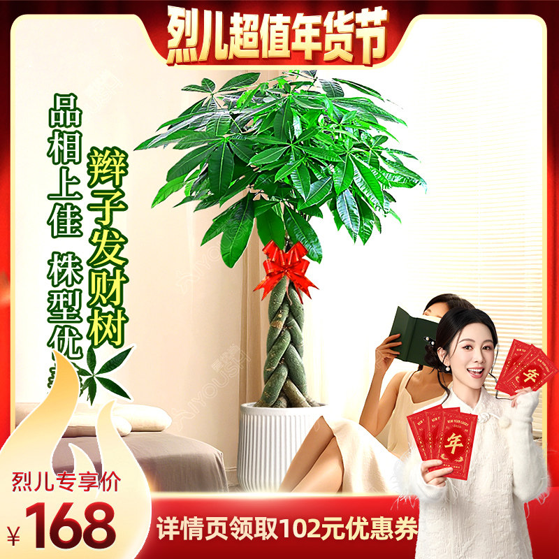 【烈儿超值年货节】发财树天堂鸟客厅大盆栽旺宅室内植物好养大型,鲜花速递/花卉仿真/绿植园艺,大型绿植/成品组合盆栽,淘宝优惠券,粉丝福利购,淘宝优惠卷