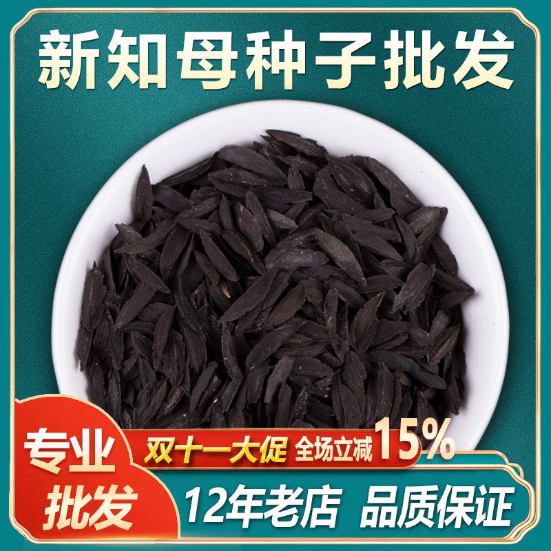 毛知母种子2025年新地参子籽种中草药材植物知母种孑春季四季种植