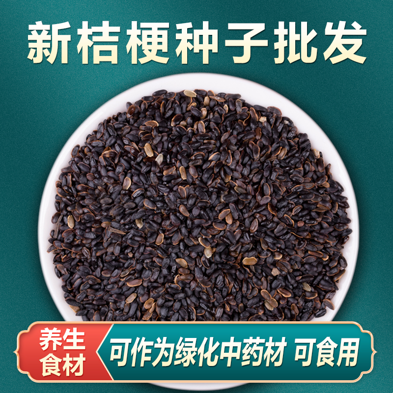 中药材桔梗种子特级桔梗种籽春四季种植苗狗宝咸菜种子可药用食用