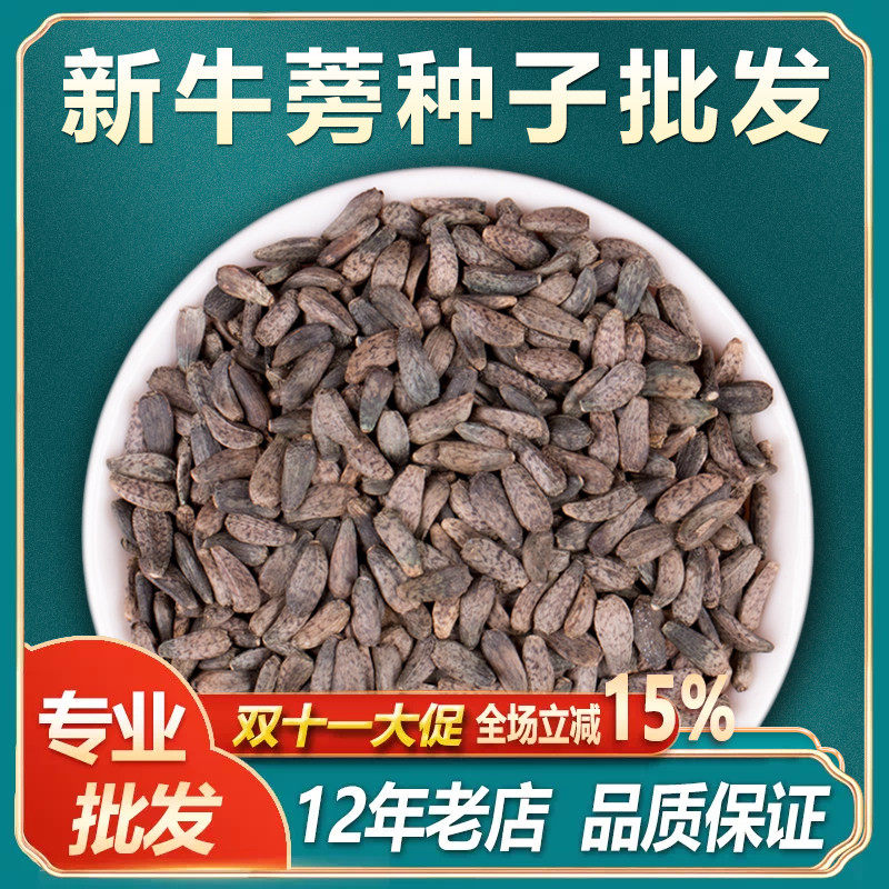 新牛蒡种子中药材牛蒡子野生牛蒡根茶春季四季种植大力籽种孑