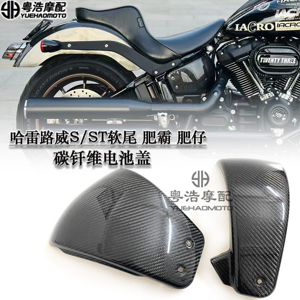 适用 哈雷软尾路威ST/S街霸 肥仔改装碳钎维电池盖 侧边盖配件