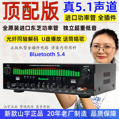 Sunbuck5.1声道功放机