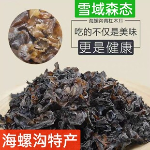 海螺沟雪域森态甘孜山货自然生长青杠树黑木耳买500克送冰川雪菊