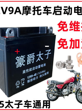 铃木王太子豪爵摩托车电瓶12V9A