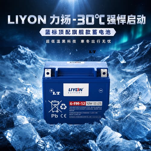 力扬摩托车电瓶12V14Ah免维护