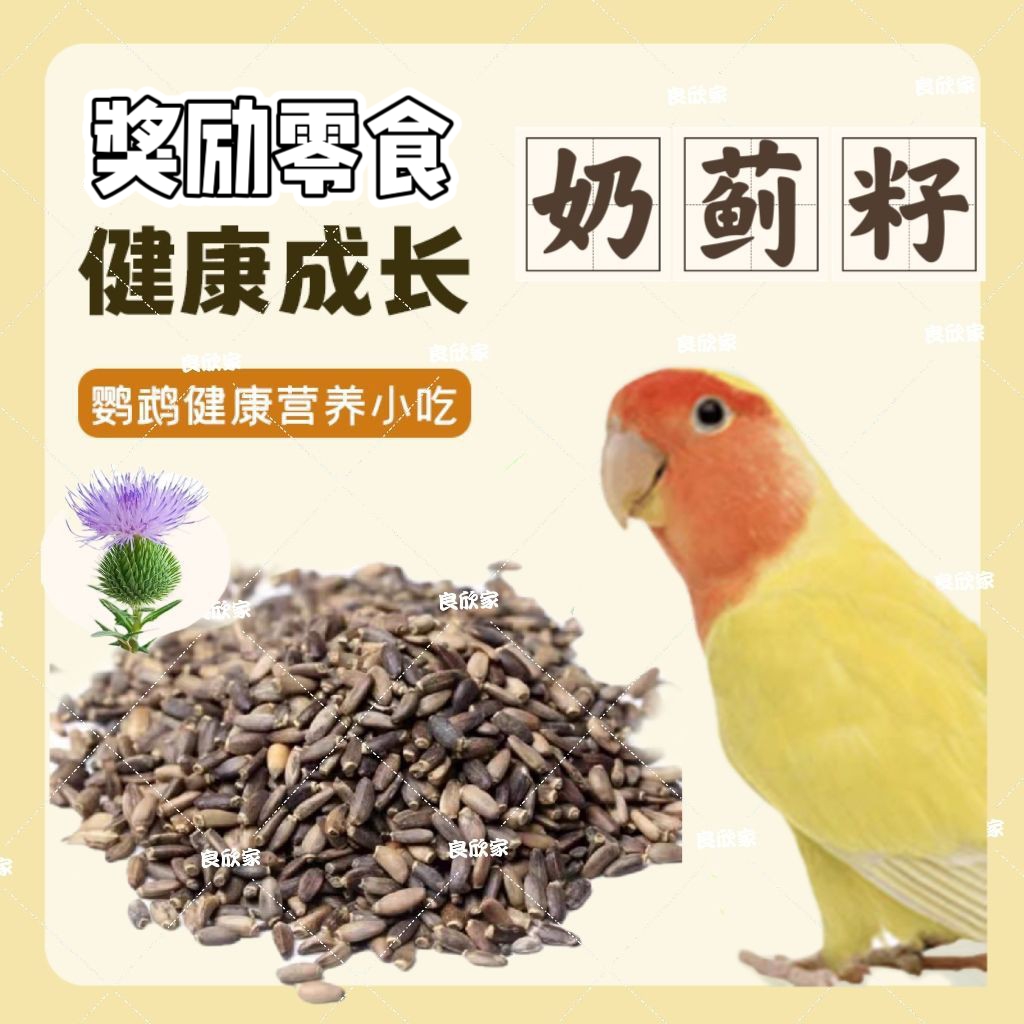 虎皮牡丹鹦鹉鸟玩具用品益智技能训练用具循环投币道具智力开发