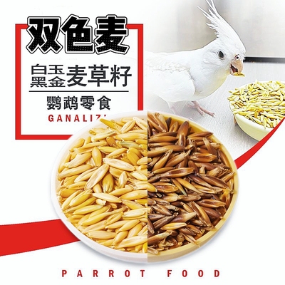 双色白玉麦黑金麦草籽带壳麦草子虎皮玄凤牡丹和尚鹦鹉零食鸟粮
