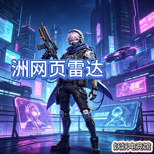 雷达服务  共享网页雷达服务 实时网页雷达更新PC端 3x3 寻宝鼠