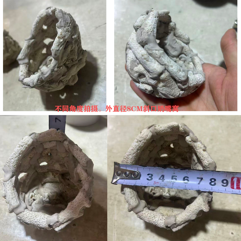 珊瑚骨手工奶嘴窝海葵防跑造景地毯窝防跑窝手工制作绿奶嘴红海葵