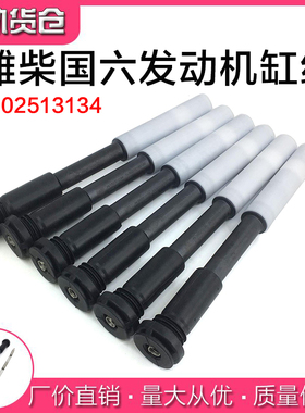 适用潍柴国六发动机缸线1002513134 天然气配件高压线点火线