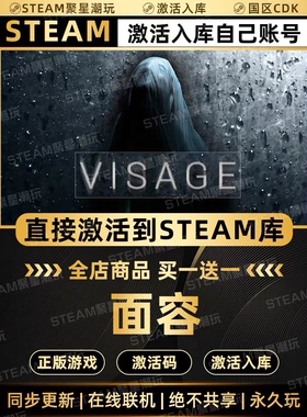 Steam正版游戏【面容visage】国区CDKEY激活码CDK激活入库
