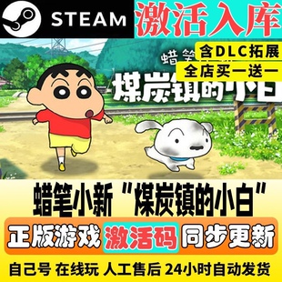 蜡笔小新煤炭镇的小白 Steam激活码全球国区CDK入库全DLC冒险游戏