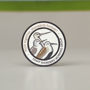 【捐赠回馈】鸻鹬守护者徽章 红树林基金会