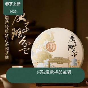 【新品】瑞聘号 庚子班盆 2025云南头春古树普洱生茶饼茶357g
