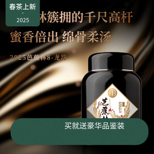 【新品现货】瑞聘号 芭蕉林8龙珠 云南头春古树普洱生茶200g