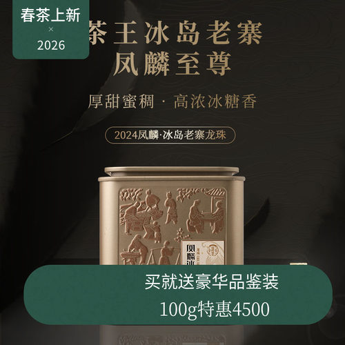 【新品】瑞聘号 凤麟冰岛老寨龙珠 2024云南头春古树普洱生茶