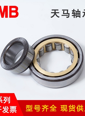 国产TMB天马减速机轴承 RJ211 212 213 214 215 216EM