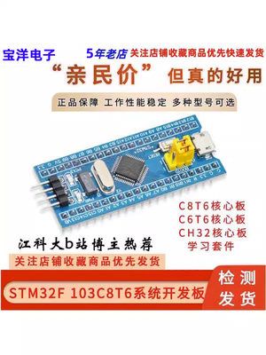 宝洋电子STM32最小系统板C6/C8T6