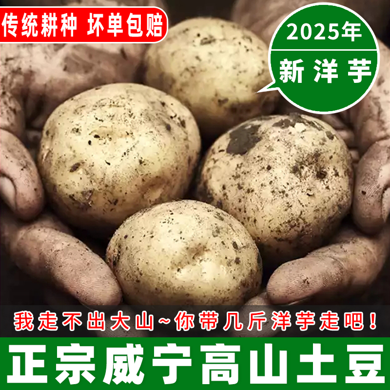 正宗威宁土豆新鲜现挖贵州高山大洋芋农家自种毕节黄皮黄心马铃薯