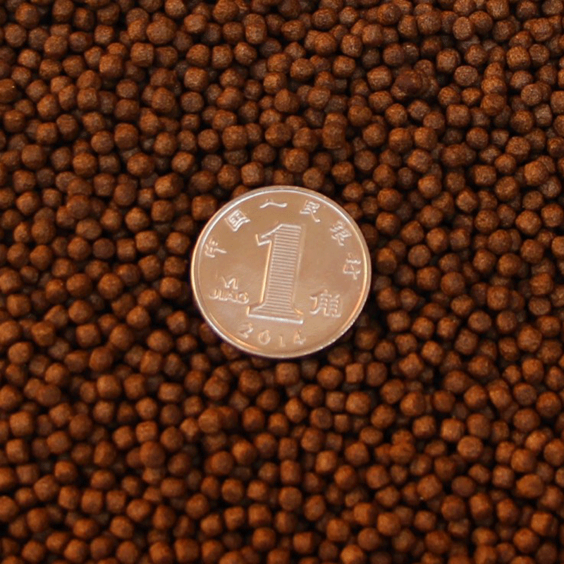 500G1斤草龟苗水龟王国
