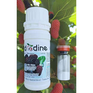 桑葚防腐保鲜剂保口感硬度防生霉烂果梗黑黄变绿水果蔬失水菌 包邮