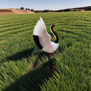 仿真丹顶鹤摆件羽毛摄影道具室内家居客厅装饰园林假山仙鹤模型