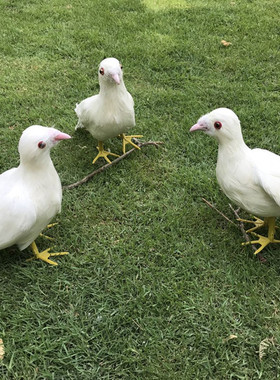 仿真白色影视婚礼道具和平鸽
