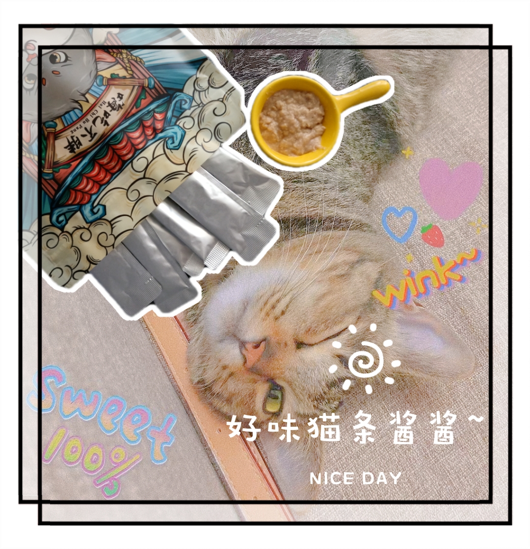 猫条猫狗零食福猫馆十五楼的猫