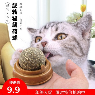 猫零食薄荷棒棒糖玩具猫薄荷包邮