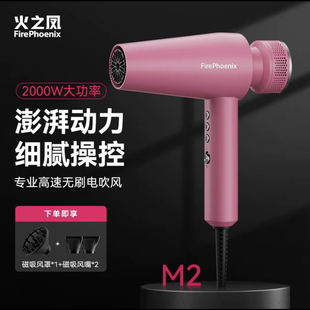 火之凤吹风机M2理发店专用高速负离子电吹风机发廊大功率专业风筒