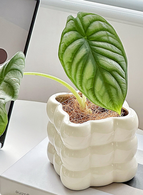 奶油风陶瓷花盆摆件高档