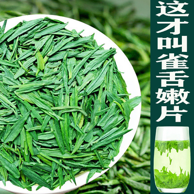 贵州绿茶雀舌茶片2023新茶湄潭翠芽茶叶明前碎片口粮茶1000克袋装