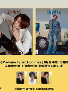 计入销量 费加罗男士8月 C版 王琳凯封面A+ B版套装+隐藏款自拍小卡3张  Figaro费加罗 Hommes杂志2025年8月 小鬼王琳凯