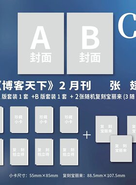 计入销量 博客天下 2月刊 张翅封面C版: A版+B版套装+2张复刻宝丽来 博客天下杂志2026年2月/二月刊 张翅 温柔的壳 官方套装