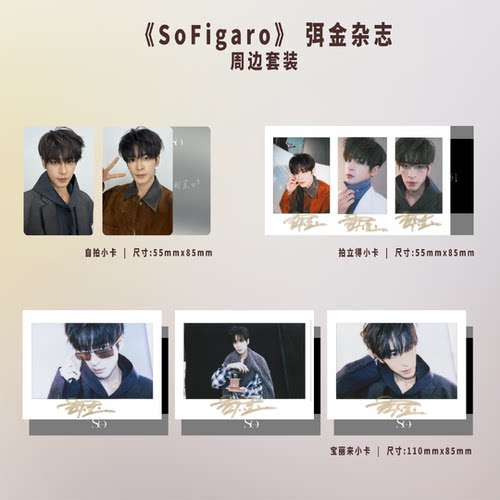 计入销量 精品 2月 弭金内页+自拍小卡2张+拍立得3张+印刷版宝丽来3张 SoFigaro中文版精品购物指南/时尚竞技场杂志2026年2月