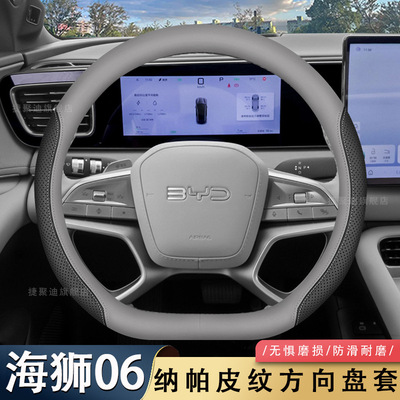 2025款新比亚迪海狮06dmie