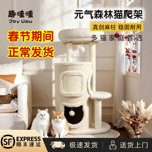 猫爬架小户型不占地家用树洞猫窝一体四季通用多层双层跳台剑麻桶