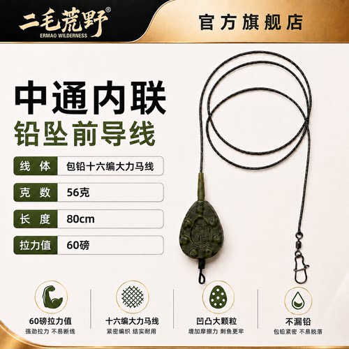 二毛荒野反底钓成品中通内联前导线手竿矶竿谷麦杆海竿欧鲤钓通用