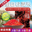 大鲫大鲤专用打窝挂钩一包两用窝料饵料 二毛荒野蛋白谷麦米春季