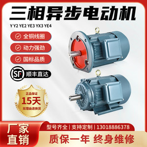 三相电机Y90L-4 1.5KW/0.75/1.1/90L-2 2.2千瓦全铜YE2电动机380V