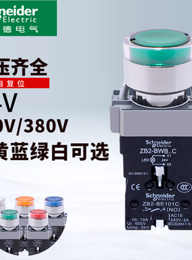 施耐德带灯按钮开关自复位绿色常开XB2BW33B1C XB2BW34M1C24V220V