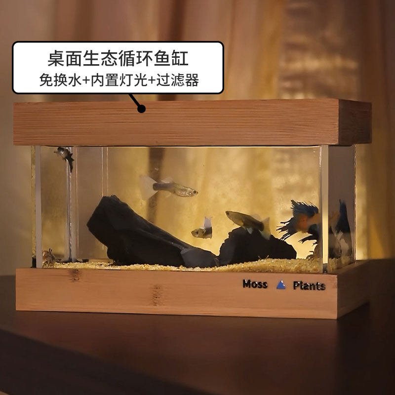 新品创意微景观鱼缸生态缸