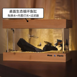 新品创意微景观鱼缸生态缸