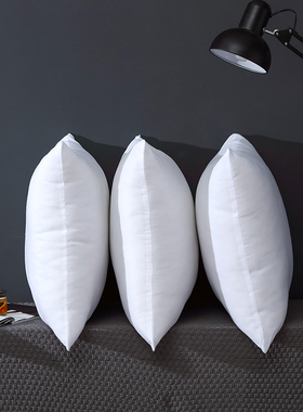 靠垫芯40 45 50 55 60 65 70 7580 抱枕芯子长方形大号方垫芯加厚