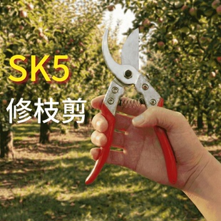 SK5修枝剪园林剪树枝专用剪刀花艺剪花剪树省力防滑锋利带弹簧
